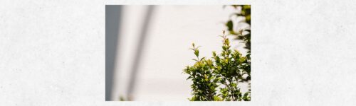 料金のご案内　大阪市城東区